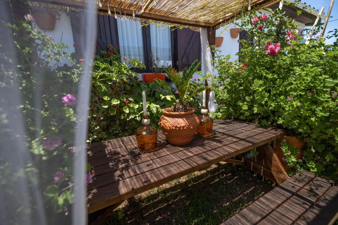 Beach House Babylon Guest House With Kitchenette And Garden Торейра Екстериор снимка