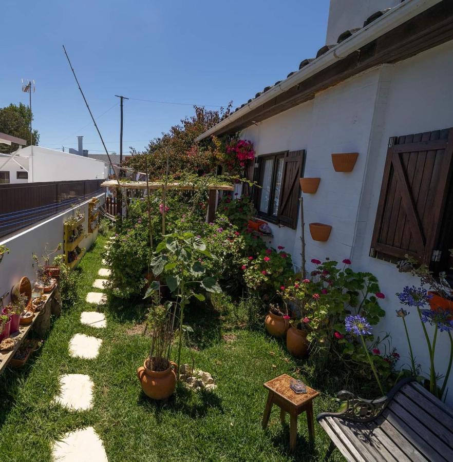 Beach House Babylon Guest House With Kitchenette And Garden Торейра Екстериор снимка