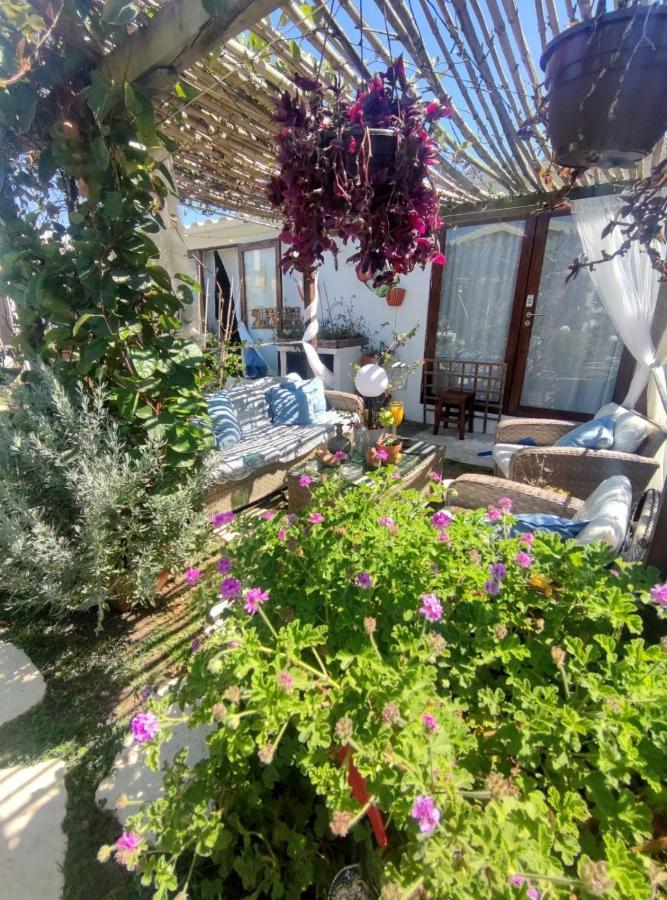 Beach House Babylon Guest House With Kitchenette And Garden Торейра Екстериор снимка