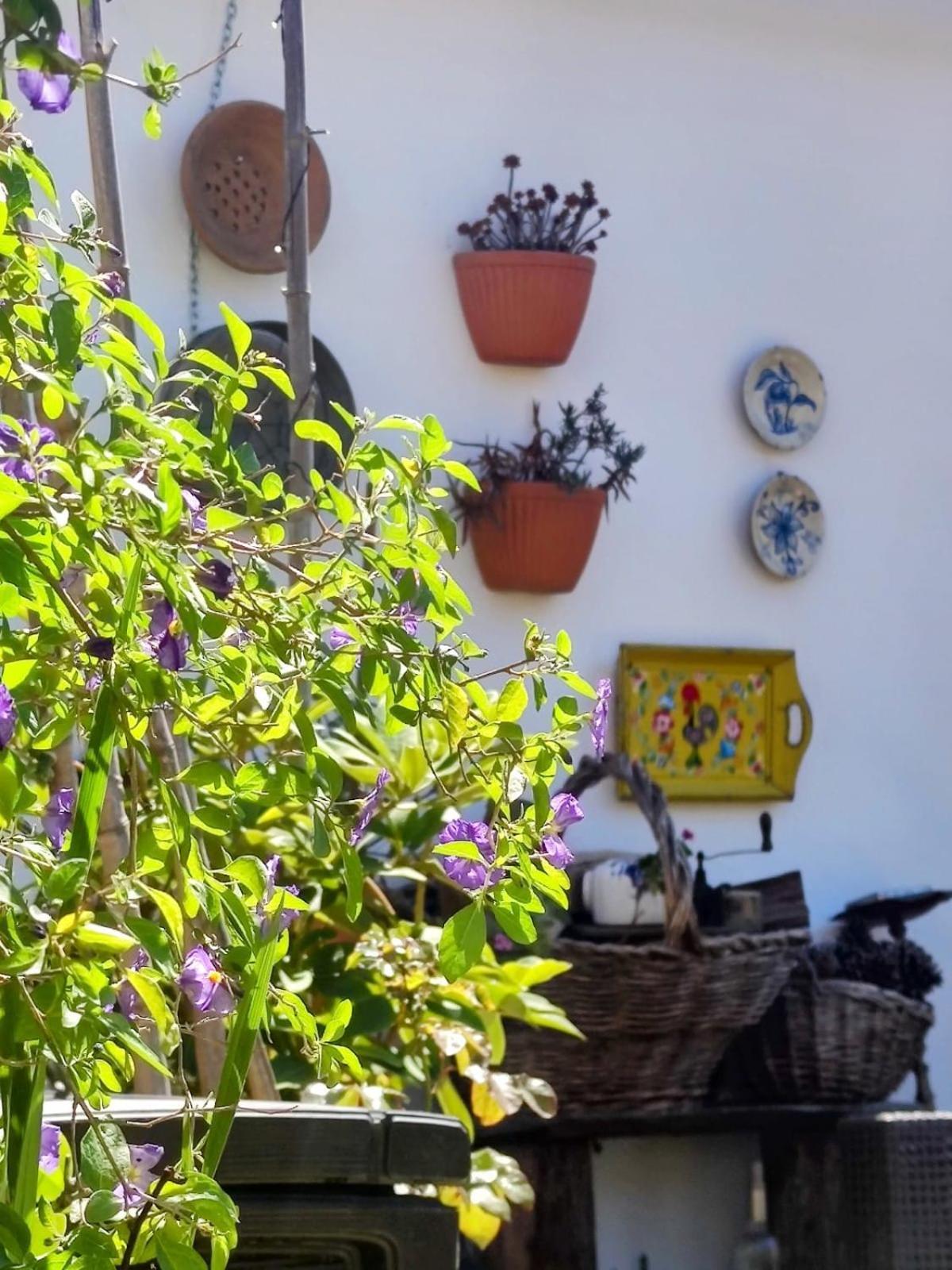 Beach House Babylon Guest House With Kitchenette And Garden Торейра Екстериор снимка