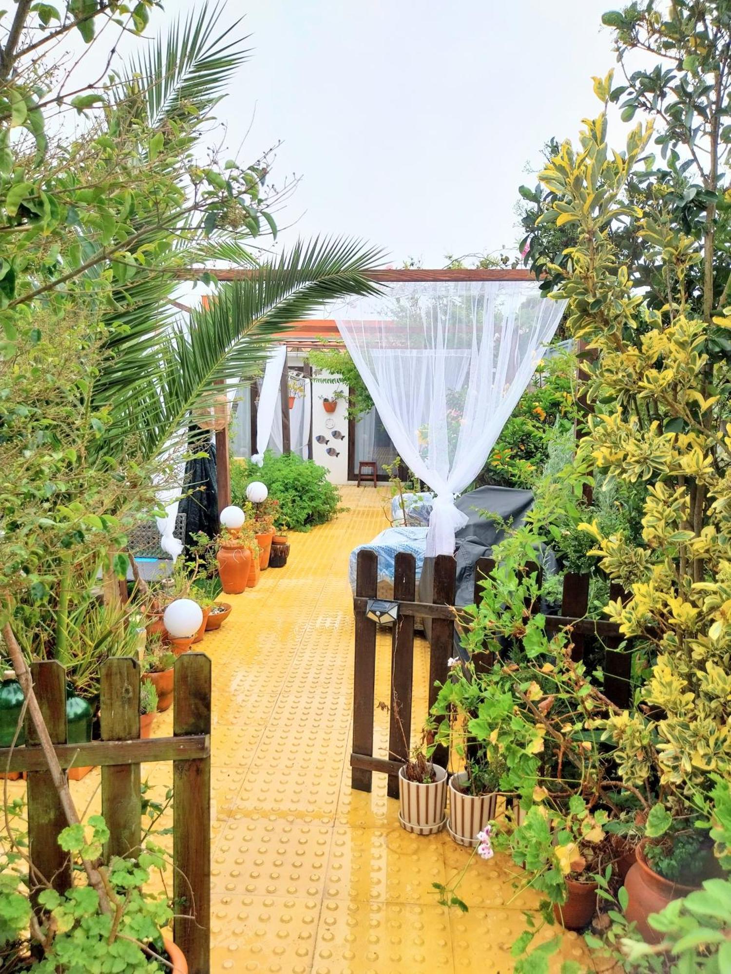Beach House Babylon Guest House With Kitchenette And Garden Торейра Екстериор снимка