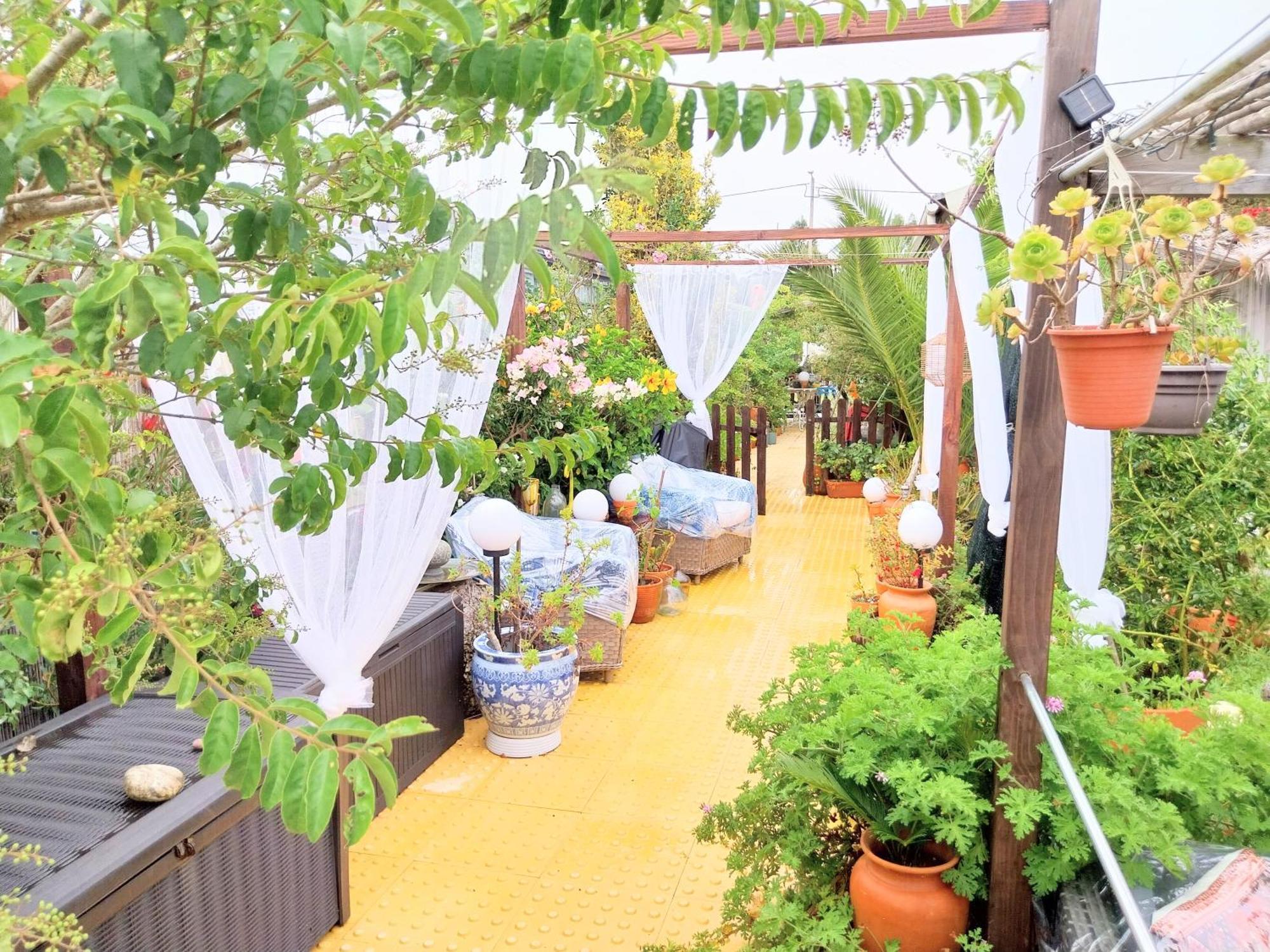 Beach House Babylon Guest House With Kitchenette And Garden Торейра Екстериор снимка
