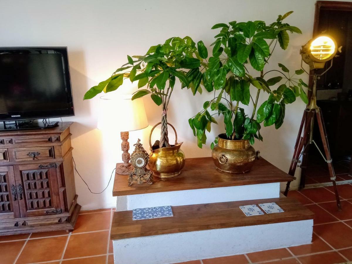 Beach House Babylon Guest House With Kitchenette And Garden Торейра Екстериор снимка